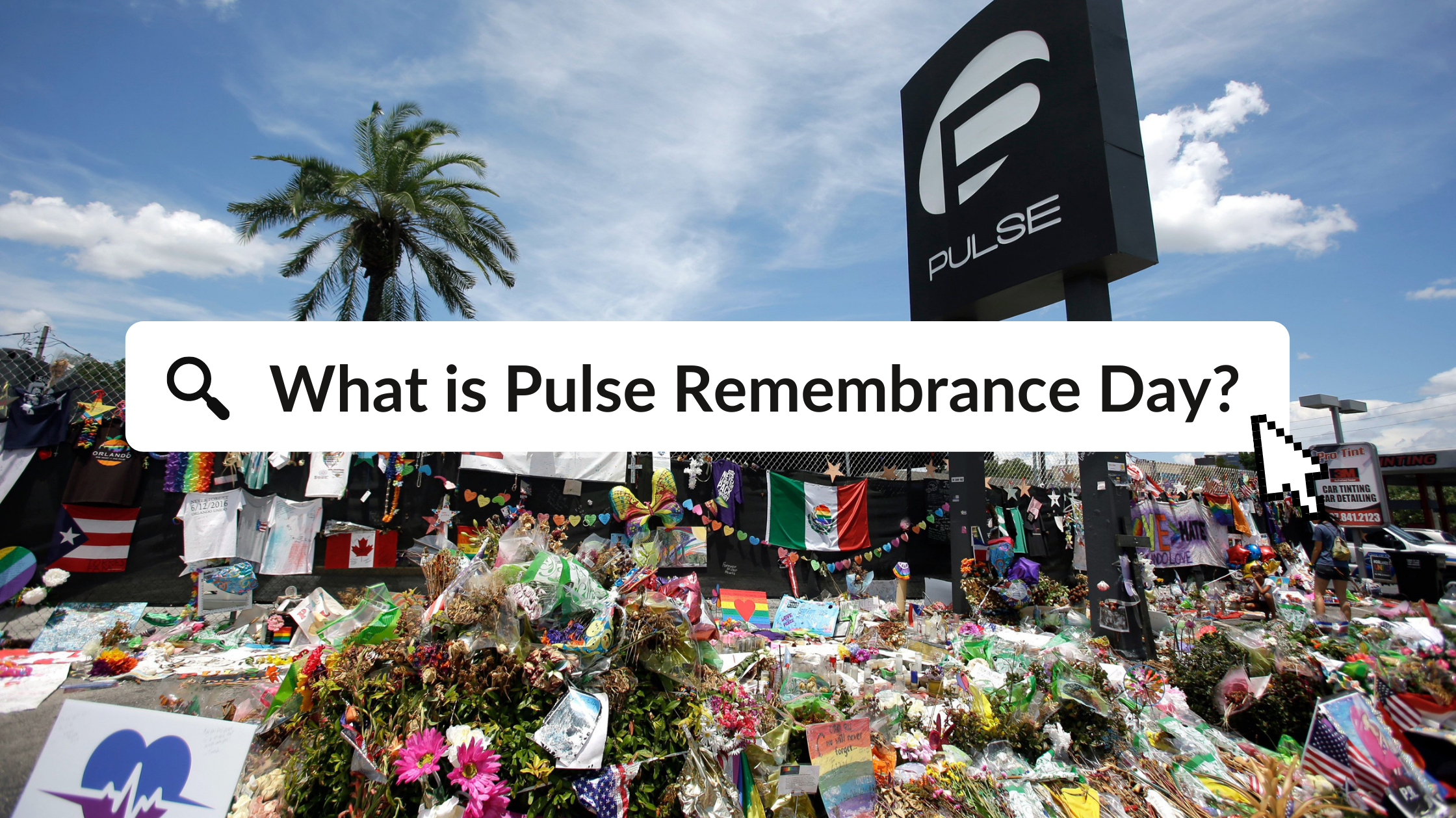 Pulse Remembrance Day