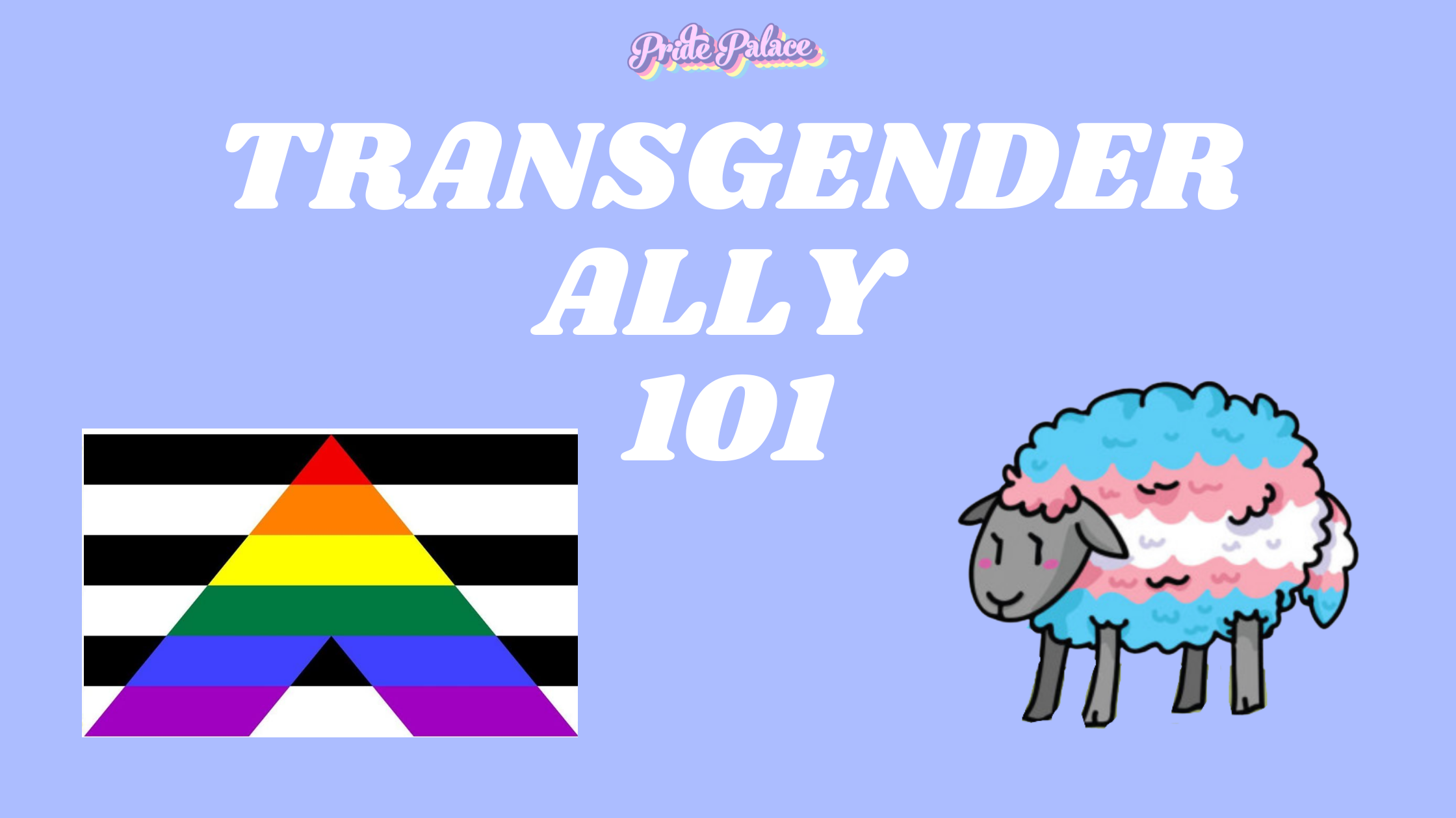 Transgender Ally 101
