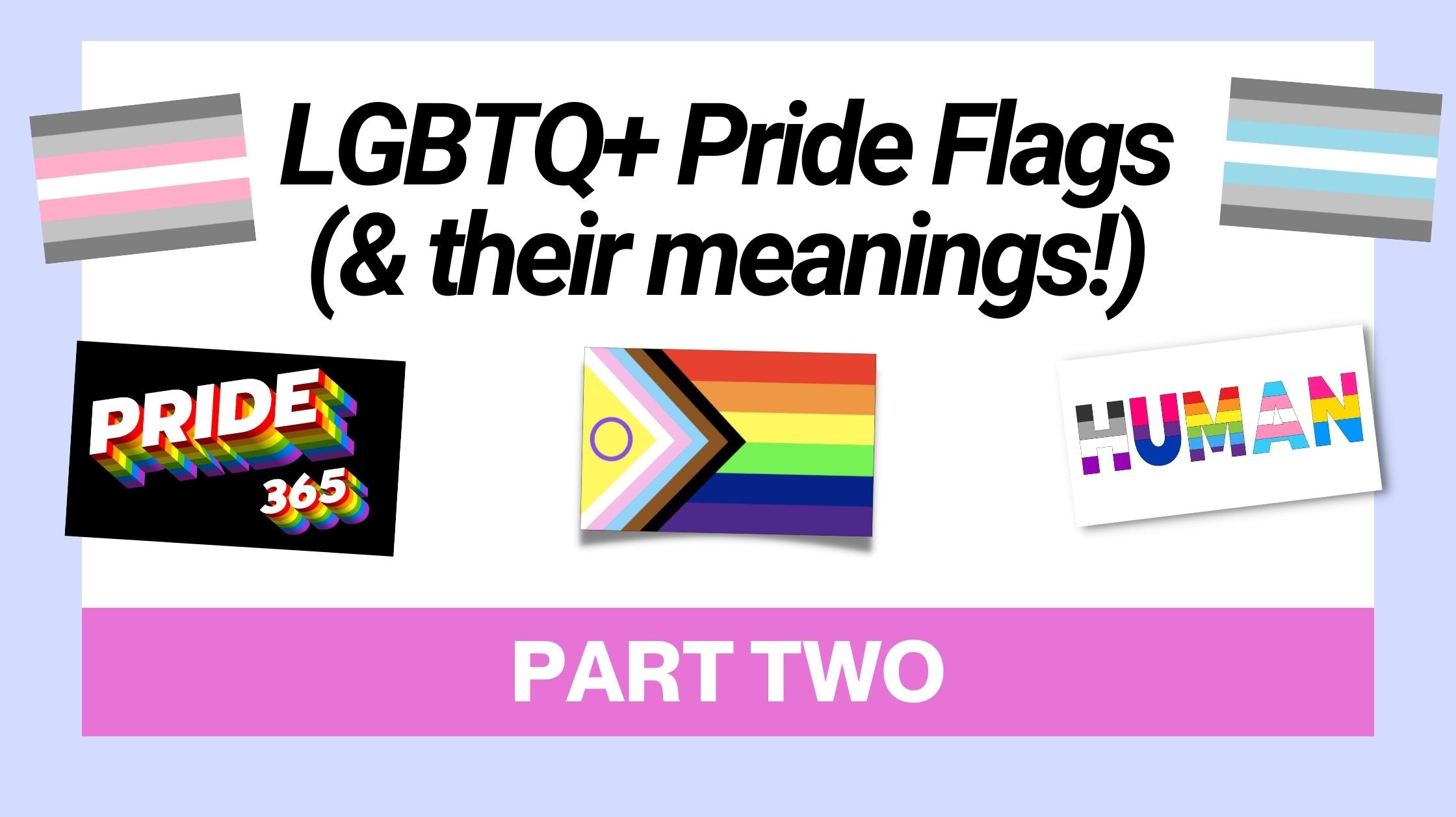 LGBTQ+ Pride Flags & Their Meanings, Cont.