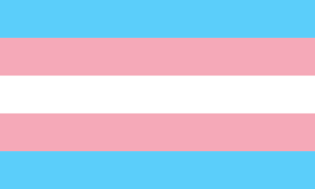 5 Facts About the Transgender Pride Flag